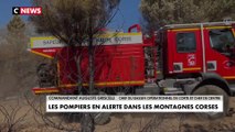 Sécheresse - Associés à des forestiers-sapeurs, les pompiers corses débroussaillent pour prévenir les feux, réduire leur intensité et préserver les habitations - VIDEO