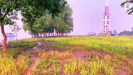 Sundarban (Part-2)  এক ঝলকে সুন্দরবন ভ্রমণ (২য় পর্ব)