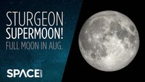 Full moon in Aug. 2022 is the Sturgeon Supermoon!