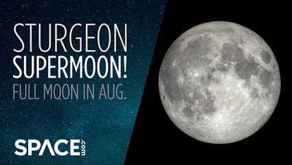 Full moon in Aug. 2022 is the Sturgeon Supermoon!