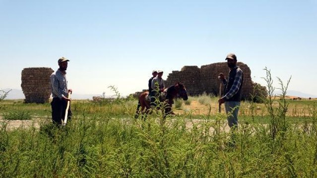 Van haber! VAN GÖLÜ ÇEKİLDİ, TARIM ALANLARI GÜN YÜZÜNE ÇIKTI