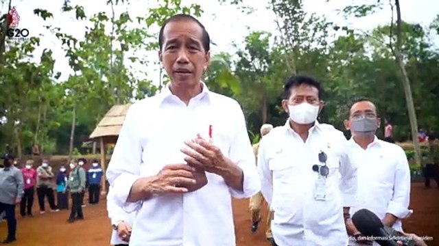 Tanam Kelapa Genjah di Sukoharjo, Presiden Tegaskan Pentingnya Jaga Pasokan Pangan Nasional