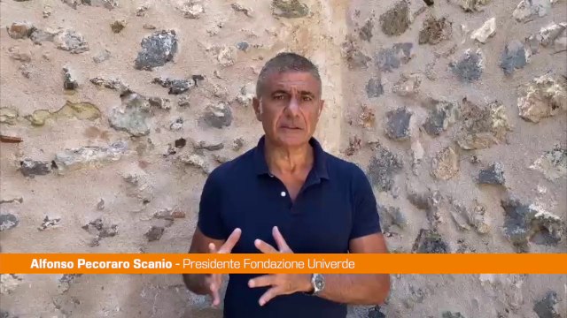 Pecoraro Scanio Pizzerie locali assumano ex dipendenti Domino's