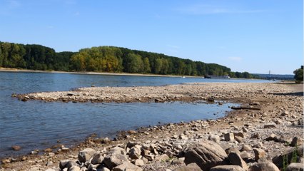 Gefährliche Entdeckung: Niedriger Wasserstand im Rhein sorgt für überraschenden Fund