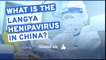 What is the Langya Henipavirus? The latest virus found in China