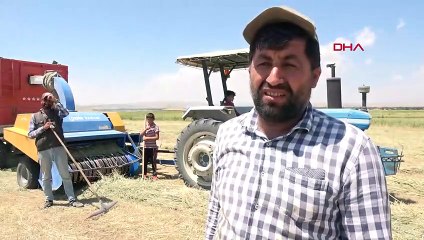 Kuraklık başlayınca.... Bu yemyeşil tarım alanı aslında Van Gölü!