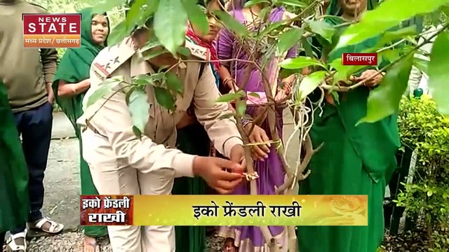 Chhattisgarh News : ईको फ्रेंडली राखी, महिलाओं ने पेड़ों को बांधी राखी, देखें वीडियो
