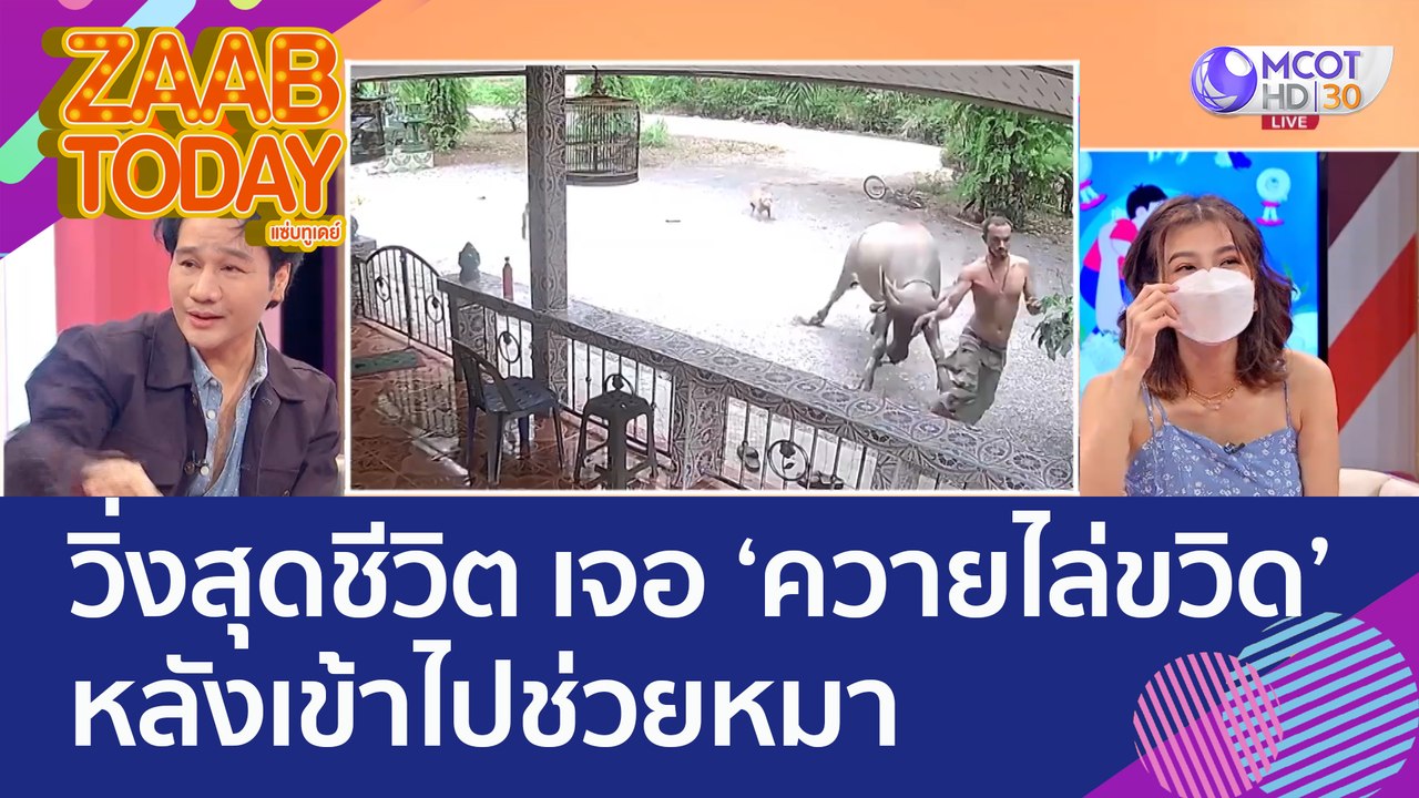 เกือบไม่รอด! เจ้าของบ้านวิ่งสุดชีวิต เจอ 'ควายไล่ขวิด' หลังเข้าไปช่วยหมา (11 ส.ค. 65) แซ่บทูเดย์