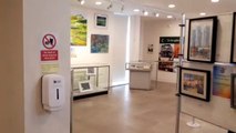 Crawley Museum art exhibition