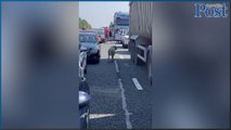 Lancashire Post news update 11 August 2022: M6 reopens after vehicle transporting sheep overturns following crash between Preston and Lancaster