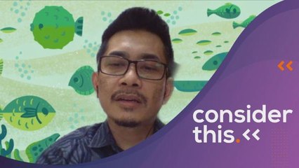 Consider This: Tiger (Part 2) - Behind Successful Conservation Efforts