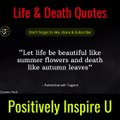 Best-Interesting-and-Memorable-Quotes-&-Thoughts-on-Death-The-Philosophy-of-Facing-Death-Quotes-About-Death-of-Loved-One-Funny-Quotes-About-Death-Shorts