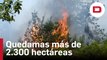 Los incendios de la provincia de Ourense arrasan más de 2.300 hectáreas