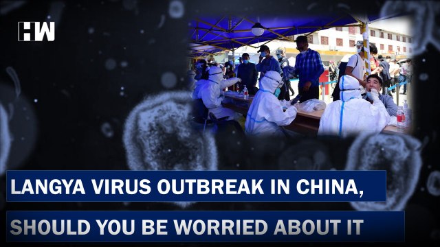 What Is Novel Langya Virus? All You Need To Know About The Virus| China| Coronavirus| Monkeypox