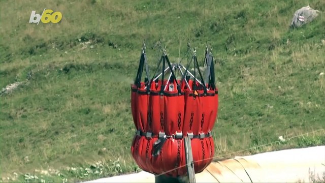 Swiss Army Airlifts Water to Animals Sweltering Under This Summer’s Heat