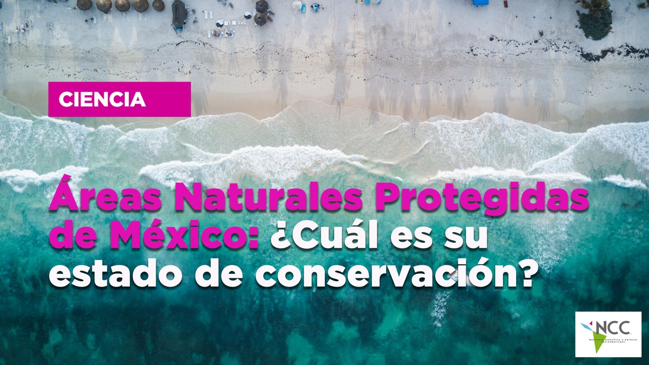 Áreas Naturales Protegidas de México: ¿Cuál es su estado de conservación?