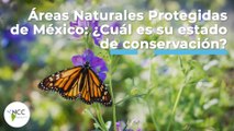 Áreas Naturales Protegidas de México: ¿Cuál es su estado de conservación? | 472 | 15-21 agosto 2022
