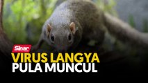 Virus Langya pula muncul