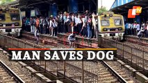 Viral Video | Selfless man risks his life to save dog from railway track