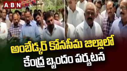 అంబేడ్కర్ కోనసీమ జిల్లాలో కేంద్ర బృందం పర్యటన || ABN Telugu