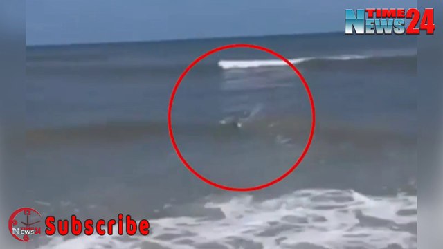 Terrifying Moment | 2 sharks are spotted prowling knee-high waters off Florida