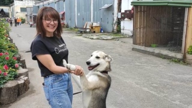 Un refugio en Leópolis acoge a los animales rescatados del frente ucraniano