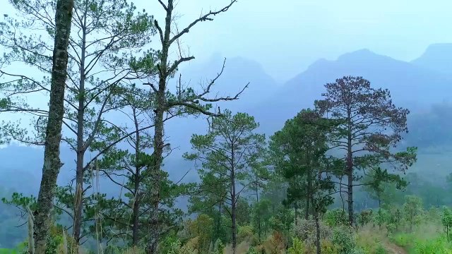 On Cloud Nine Saison 1 - Trailer (EN)