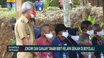 Jokowi dan Ganjar Pranowo Tanam 3 Juta Bibit Kelapa Genjah di Boyolali dan Sukoharjo
