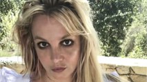 GALA VIDEO - Britney Spears en train de se disputer avec ses enfants : son ex publie une vidéo accablante