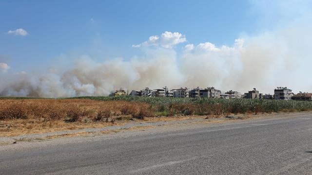 Balıkesir haberleri... BALIKESİR - Sazlık alanda çıkan yangın söndürüldü