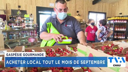 TVA Nouvelles CHAU 12h 11 août 2022