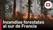 los incendios forestales siguen asolando el sur de Francia