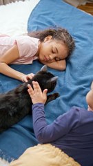 One Funny Cat  Two Girls Compilation #2 | Animals Video