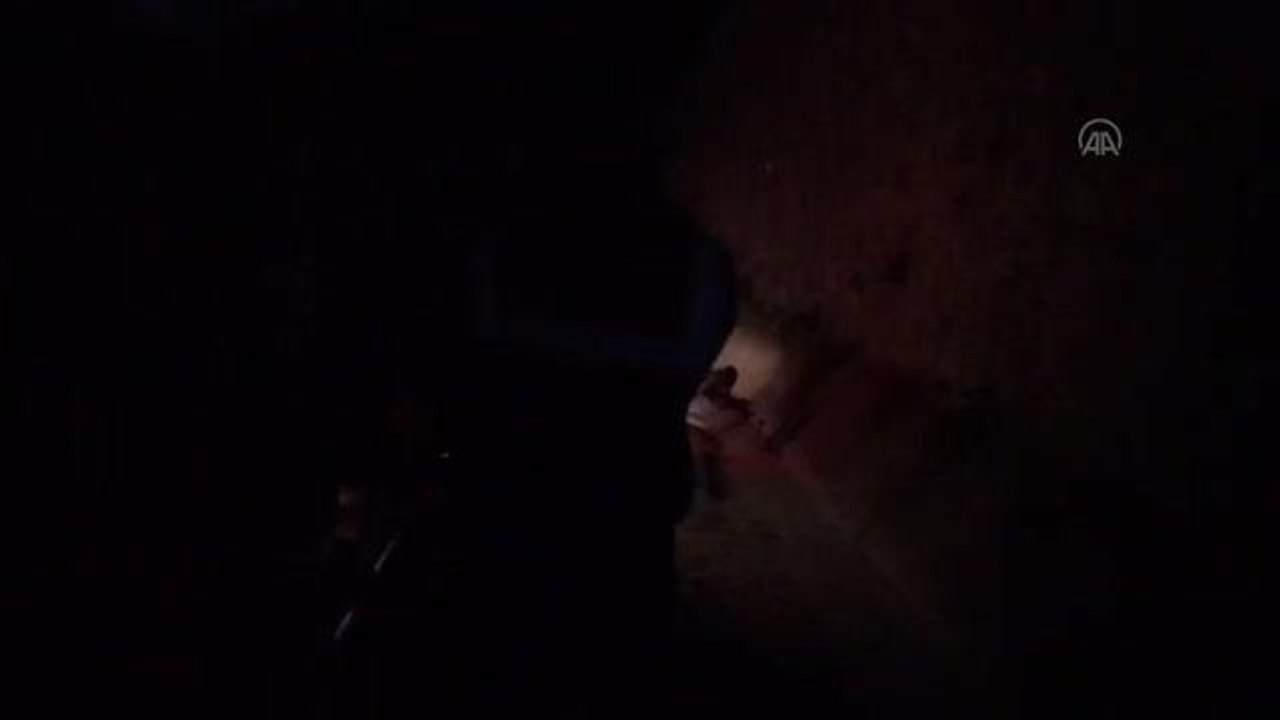 Kastamonu haber: KASTAMONU - Otomobilin çarptığı köpek jandarma tarafından kurtarıldı