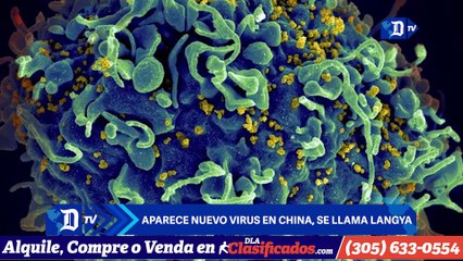 Video herunterladen: Aparece nuevo virus en China, se llama Langya | El Diario en 90 segundos