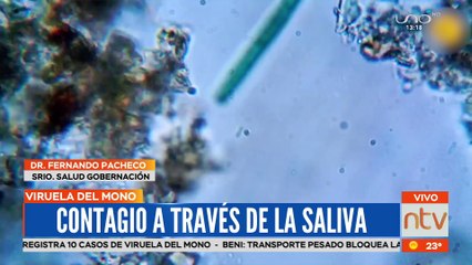 ¿Cómo se transmite la viruela del mono?