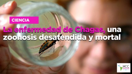 La enfermedad de Chagas, una zoonosis desatendida y mortal