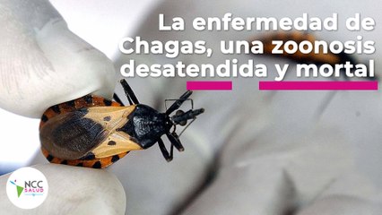 La enfermedad de Chagas, una zoonosis desatendida y mortal | 106 | 15 al 21 de agosto 2022