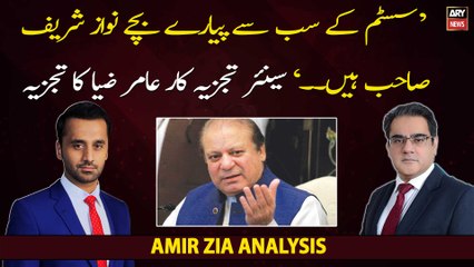 Nawaz Sharif Sahab System Kay Sab Say Pyarey Bachay Hen, Amir Zia