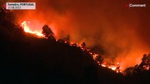 فيديو: حرائق غابات تشتعل في متنزه وطني في وسط البرتغال