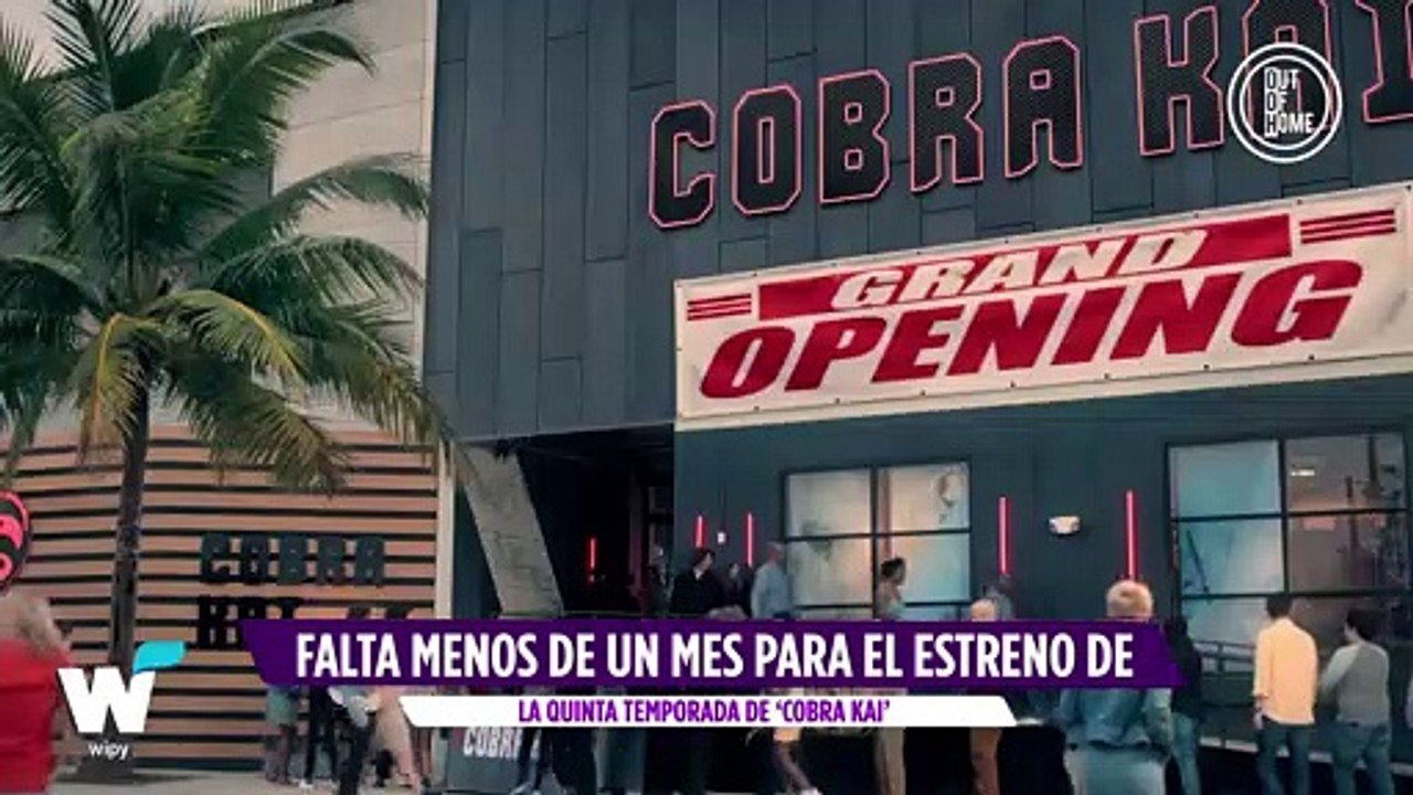 A un mes de su estreno, esto es lo que sabemos de la quinta temporada de ‘Cobra Kai’ || Wipy TV