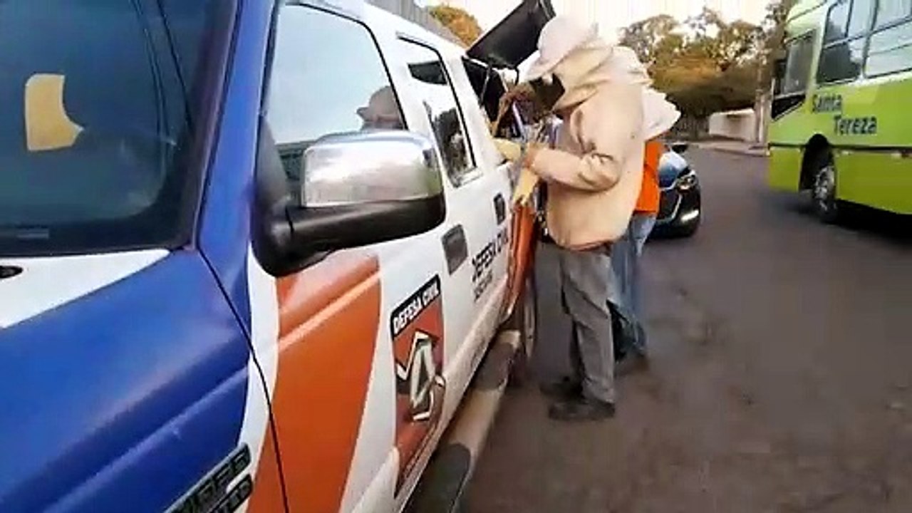 Enxame de abelhas é retirado pela Defesa Civil no Bairro São Cristóvão