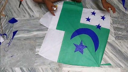 14 August Pakistan's Happy Independence Day Flag kite - Mr.kites
