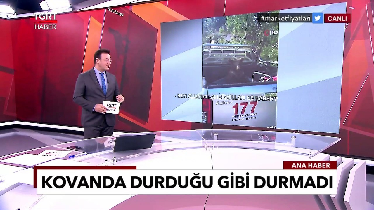 Düzce'de Fazla Bal Yiyen Ayı Kendinden Geçti! Ayının O Anları Kameraya Böyle Yansıdı - TGRT Haber