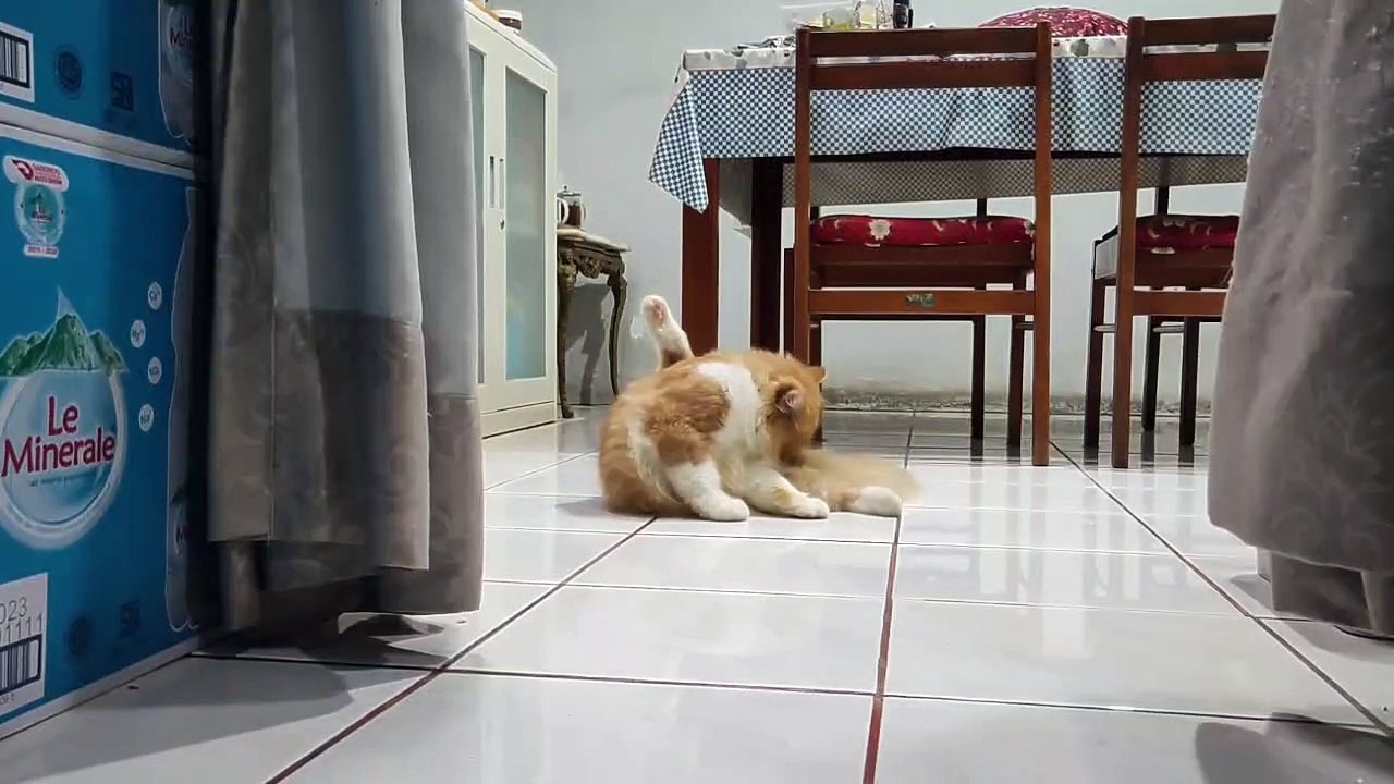 Percy