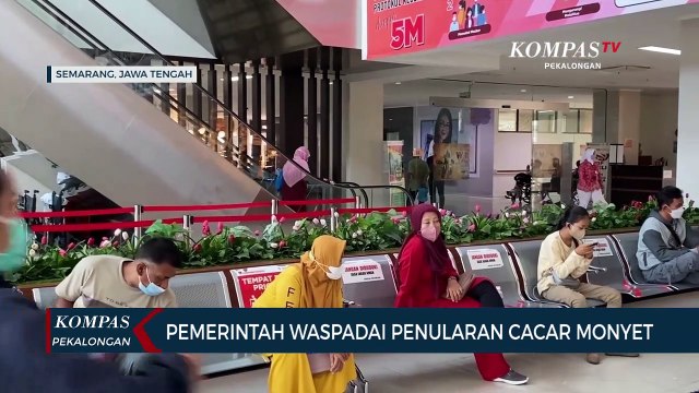 Pemerintah Waspadai Penularan Cacar Monyet