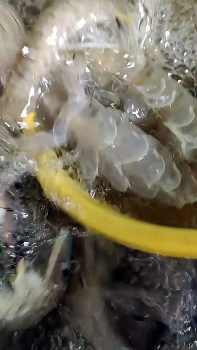 Yummy seafood do this weekend .Why so Delicious.