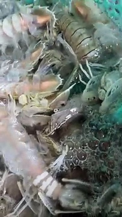 Yummy seafood do this weekend .Why so Delicious.