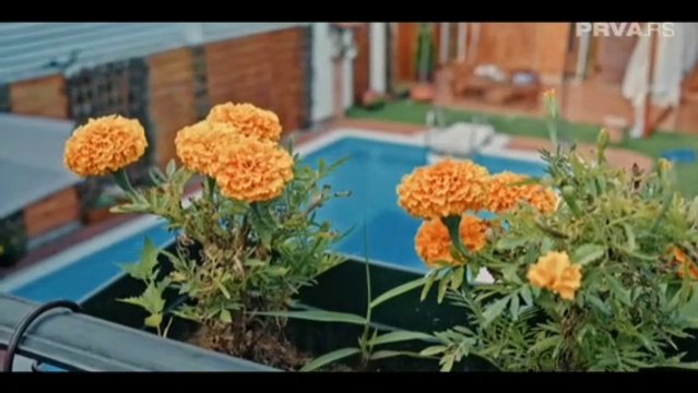 Mala supruga Epizoda 54 - Mala supruga Epizoda 54