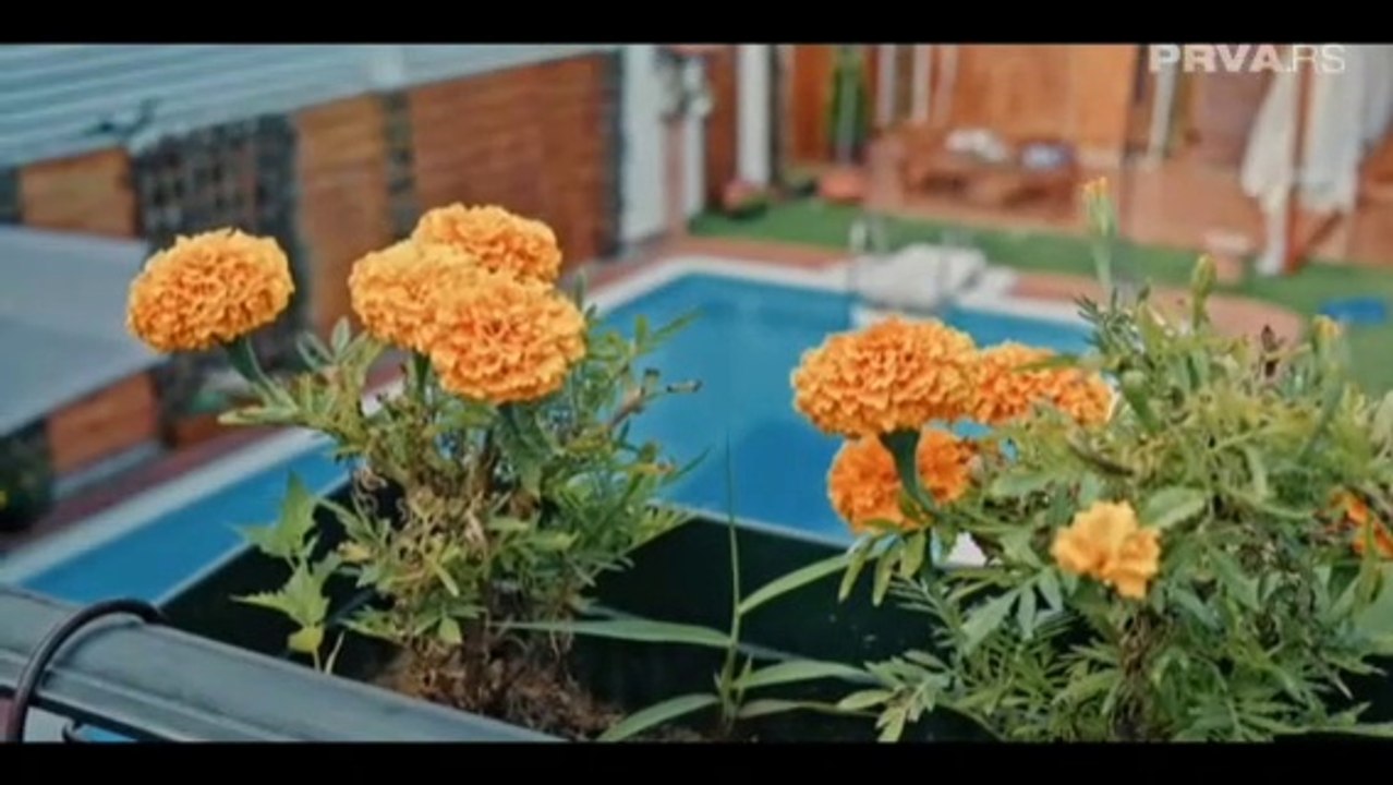 Mala supruga Epizoda 54 - Mala supruga Epizoda 54